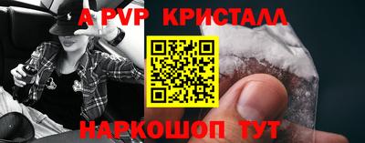 стаф Гай