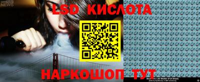 стаф Гай