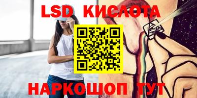стаф Гай
