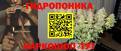 хмурый Гатчина