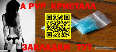 стаф Гай