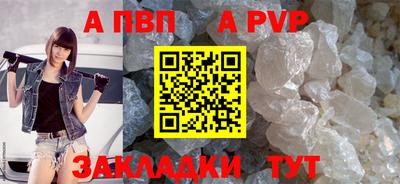 стаф Гай