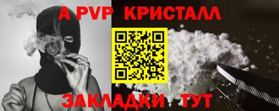 стаф Гай