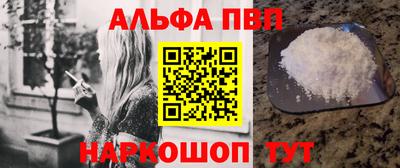 стаф Гай
