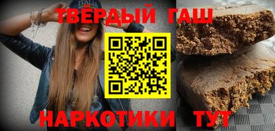 стаф Гай
