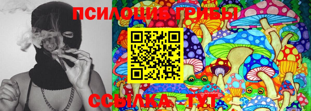 Псилоцибиновые грибы ЛСД  Псилоцибиновые грибы GOLDEN TEACHER  Вход с VPN  Самара 